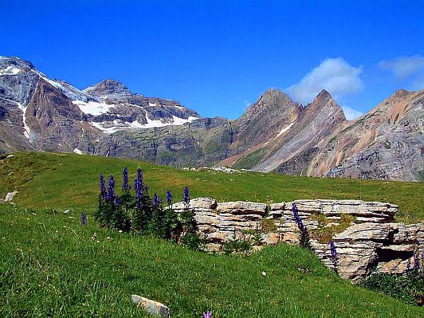 pyrenees mountains