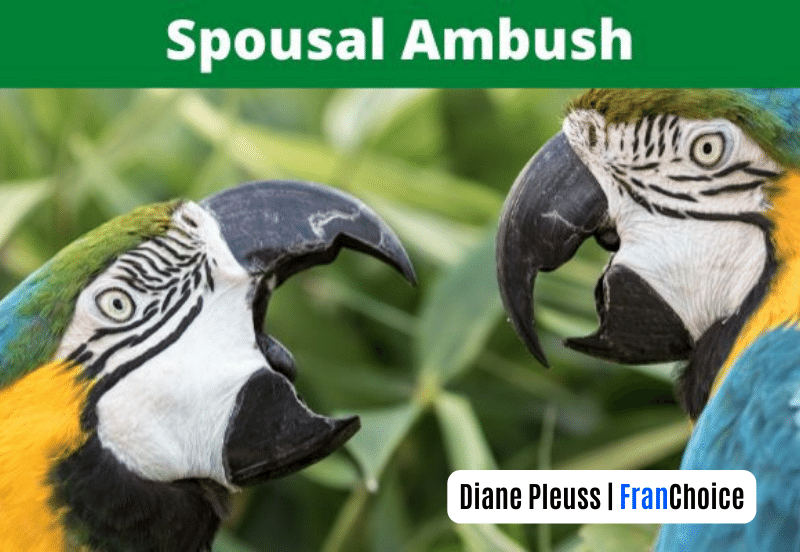 Spousal Ambush (Part 2)