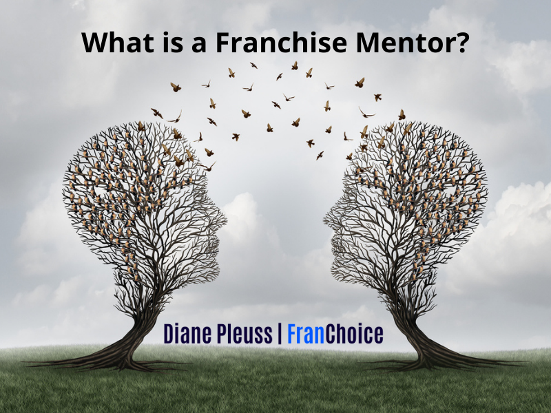 What is a Franchise Mentor?