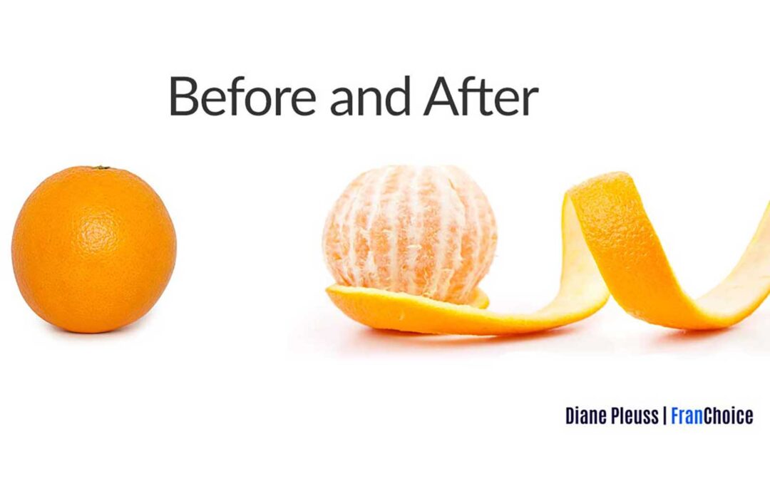 Before and After | Diane Pleuss FranChoice