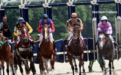 Is it better to bet on the horse or the jockey?